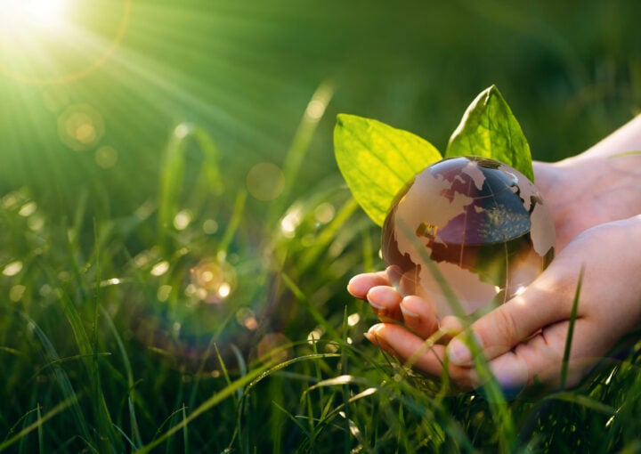 Image of an hand holding what looks like a crystal earth